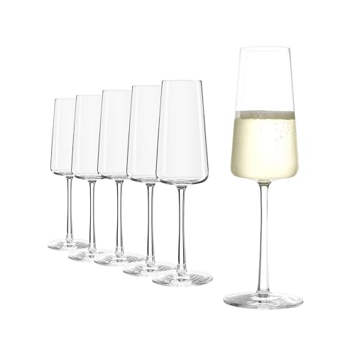 Stölzle Lausitz Power Champagnerkelche 6er-Set I Hochwertige Champagner Kelche ideal für Sekt oder Prosecco I Schmale, Spühlmaschinenfeste Schaumweingläser I Elegante & Dünne Sekt Kristallgläser