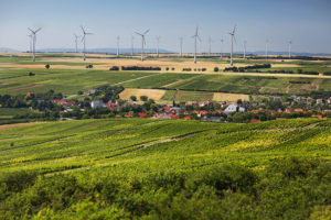 Blick über die Weinbauregion Rheinhessen mit Weinbergen im Vordergung und einem Windpark im Hintergrund