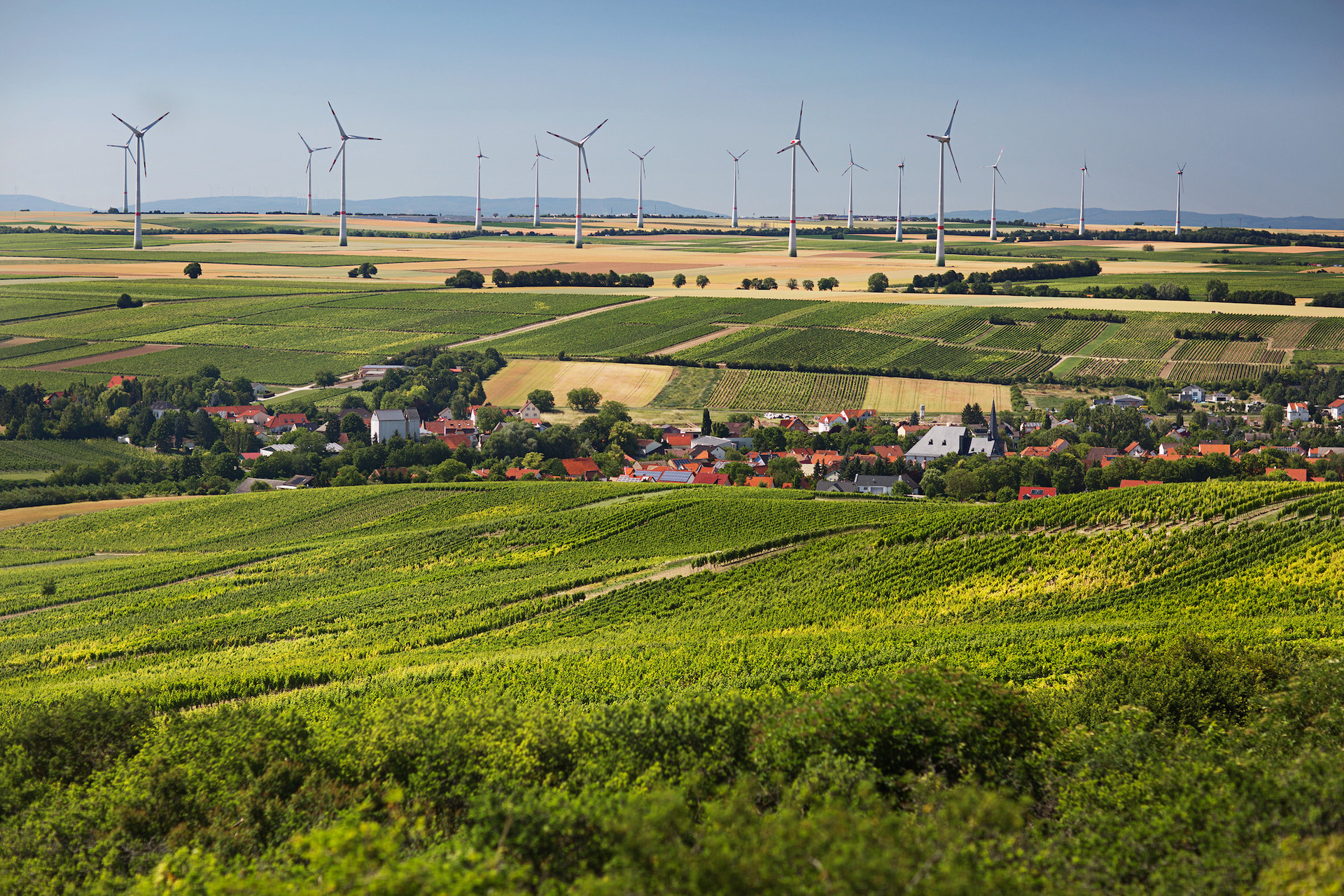 View over the winegrowing region Rheinhessen with vineyards in the foreground and a wind farm in the background