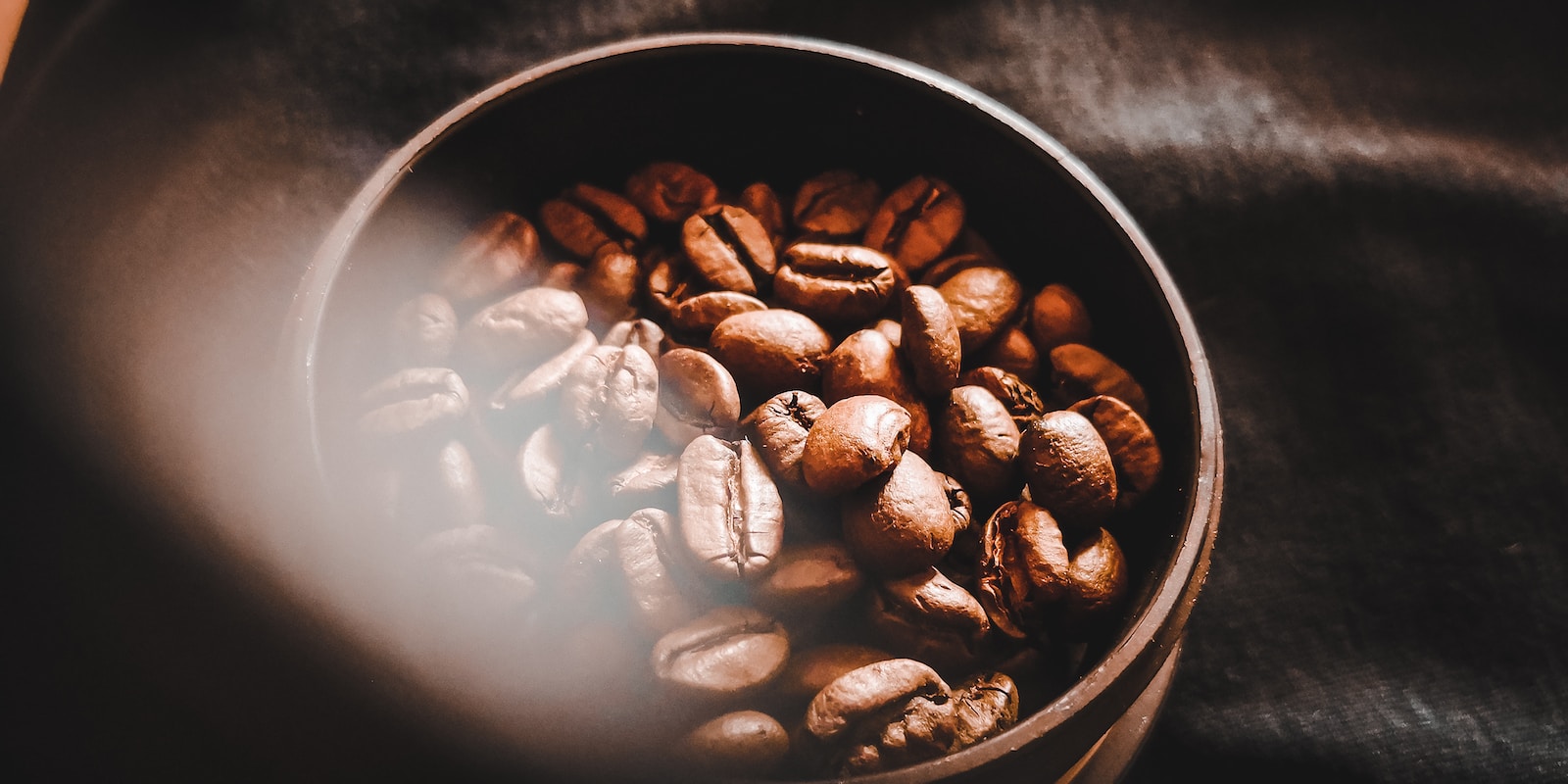 Robusta vs. Arabica: Eine Reise in das Reich des Kaffees