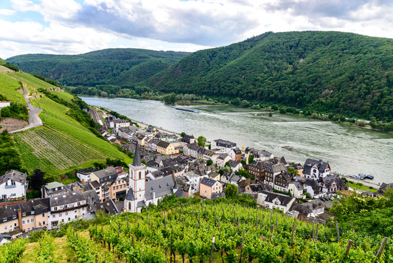 View from Assmannshäuser Höllenberg vineyard to Assmannshausen in summer