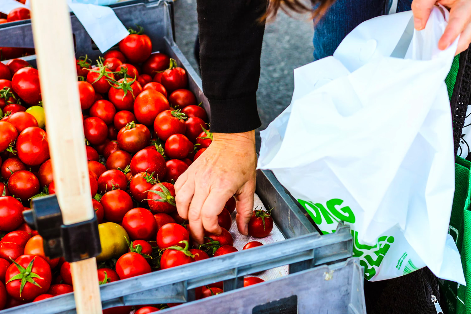 Einfache Tomatensuppe