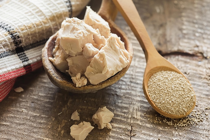 Alcohol content in wine - baker's yeast in fresh and dry form on a spoon