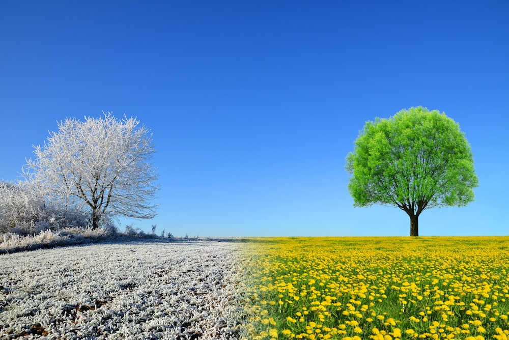 Warme oder kalte Außentemperaturen beeinflussen die optimale Trinktemperatur von Wein