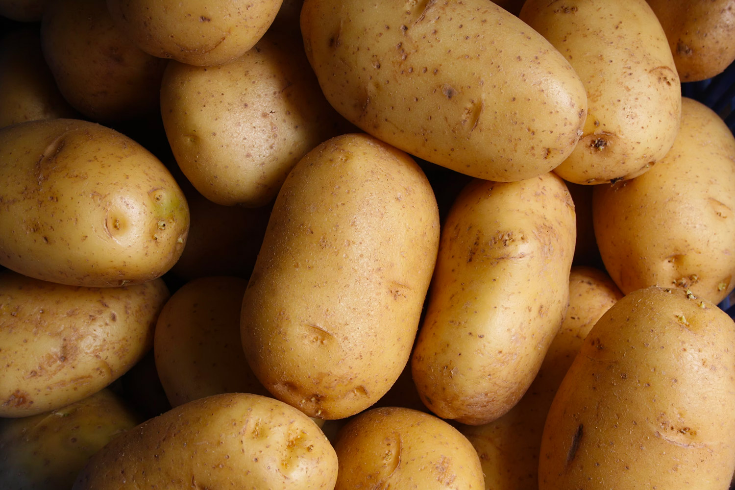 Different potatoes photographed from above