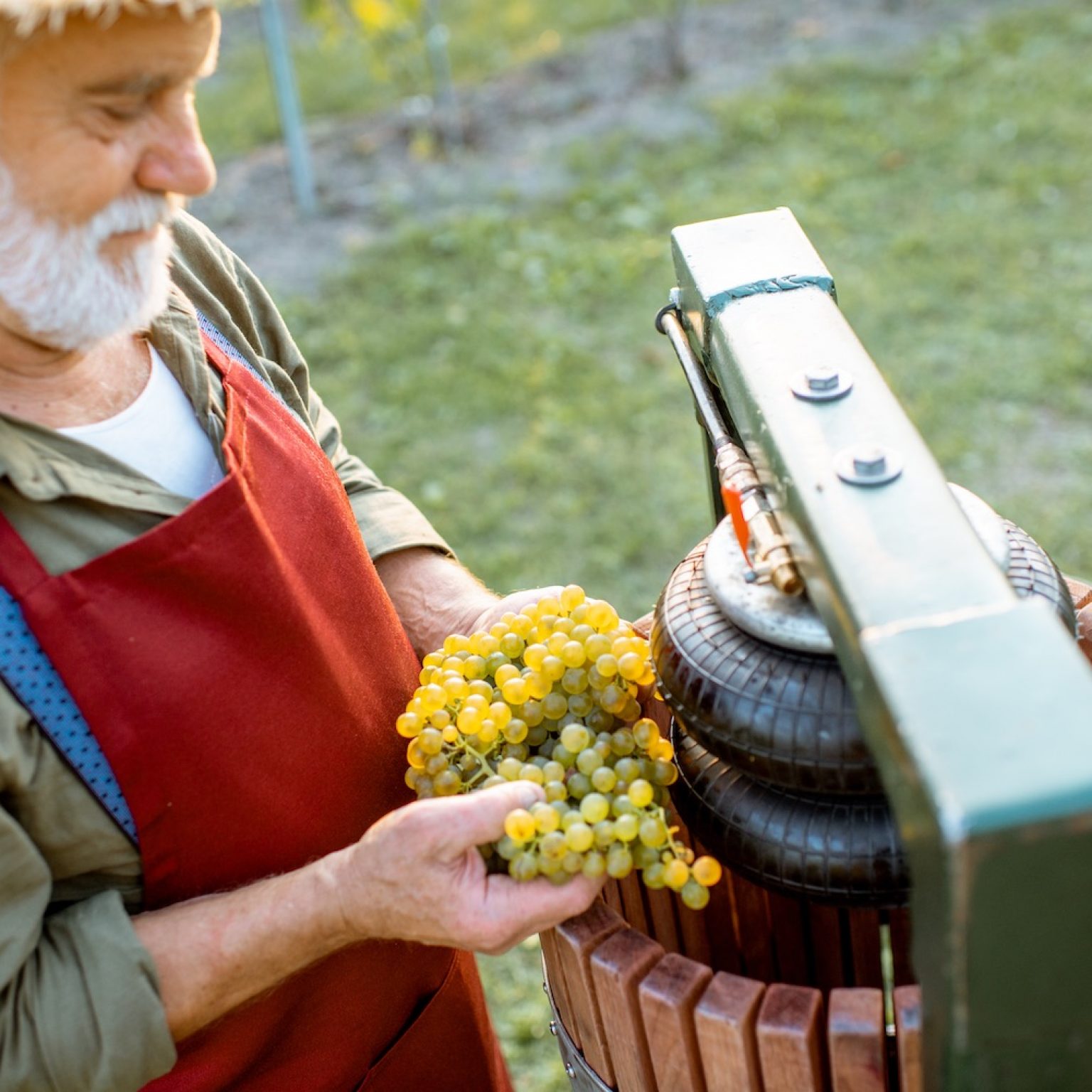 The 10 most expensive red wines in the world Trinkreif.de