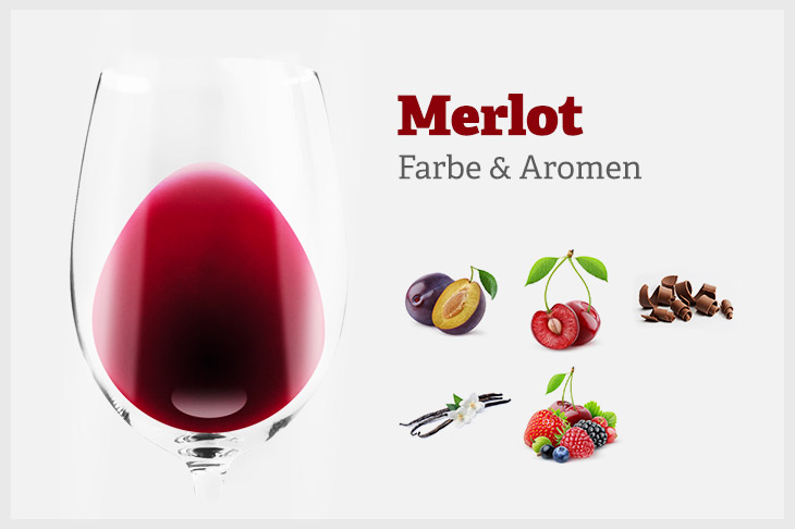 Farbe und Aromenprofil des Merlot. Pflaume, Schwarzkirsche, Schokolade, Beerenfrüchte und Vanille