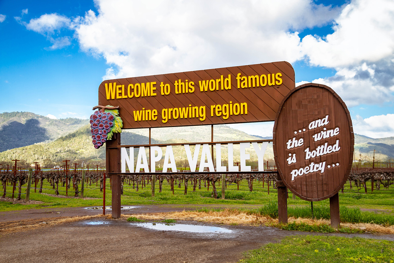 Napa Valley AVA – Kaliforniens berühmteste Weinregion und dessen Weine