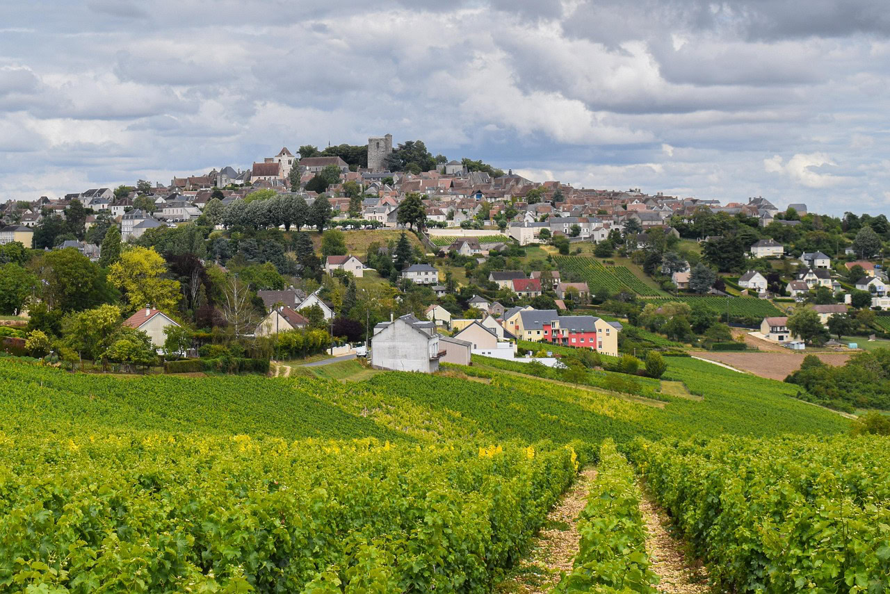 Sancerre – Das Kult-Weinbaugebiet an der Loire