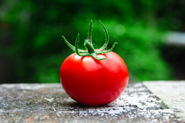 Einfache Tomatensuppe