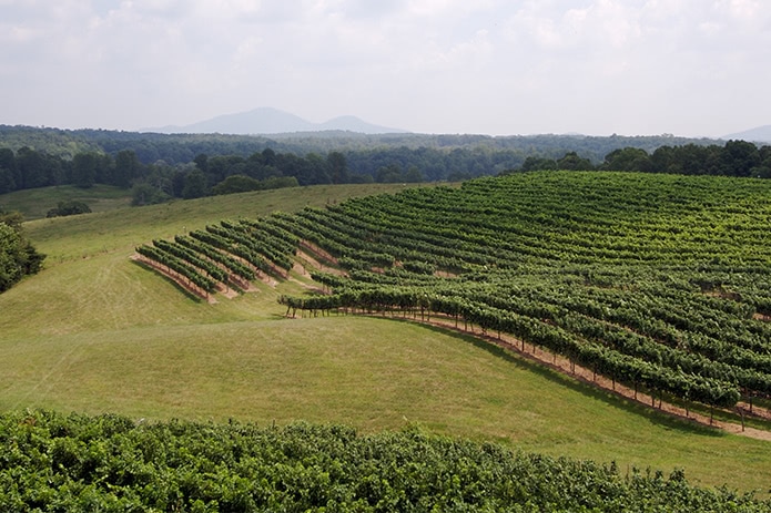 Kachetien ist das bedeutendste Weinbaugebiet Georgiens.