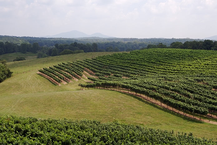 Kakheti is the most important wine-growing region of Georgia.