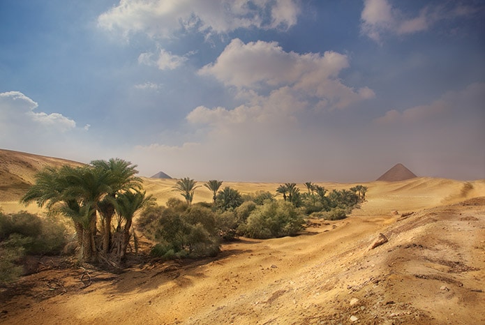 Viticulture in Egypt - Sandy Soils and Great Heat