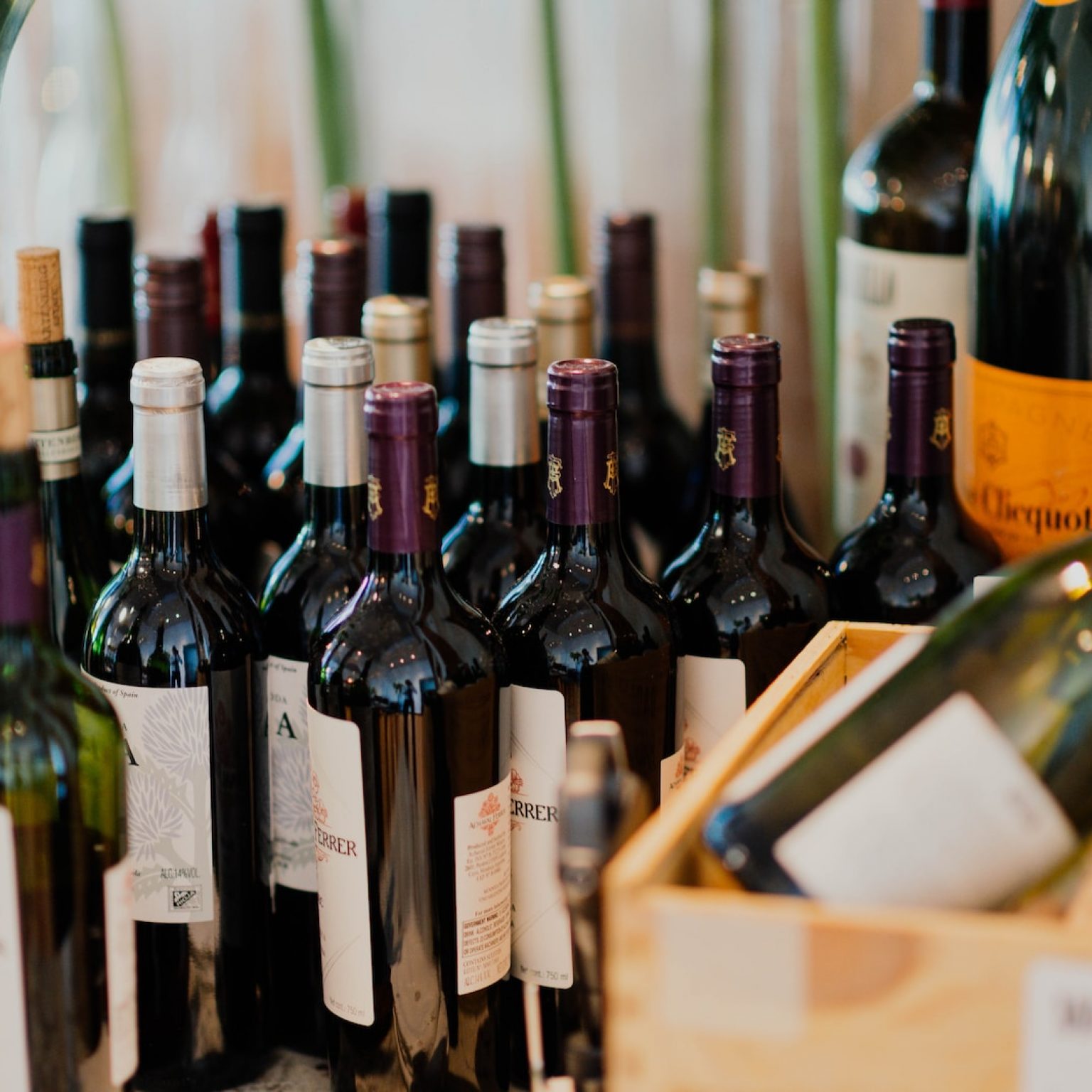 The 10 most expensive red wines in the world Trinkreif.de